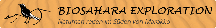 Biosahara Exploration W&uuml;stenreisen Sahara